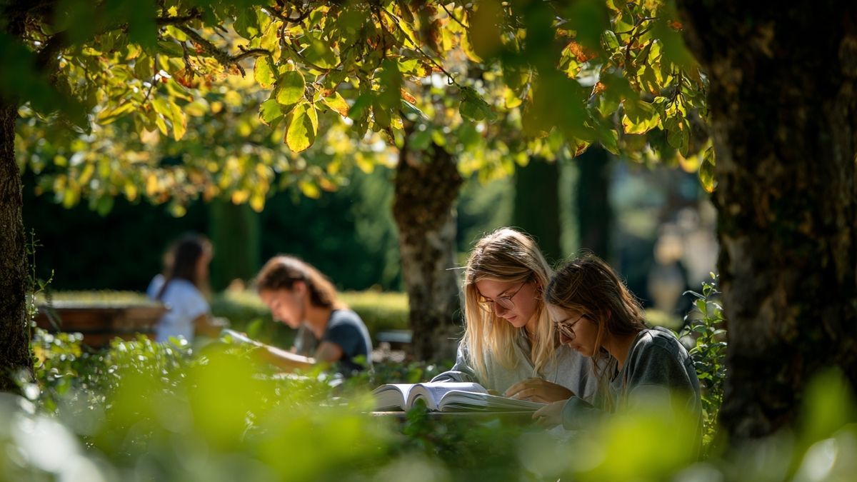 L’éducation au cœur de Boulogne-sur-Mer : un environnement favorable pour progresser