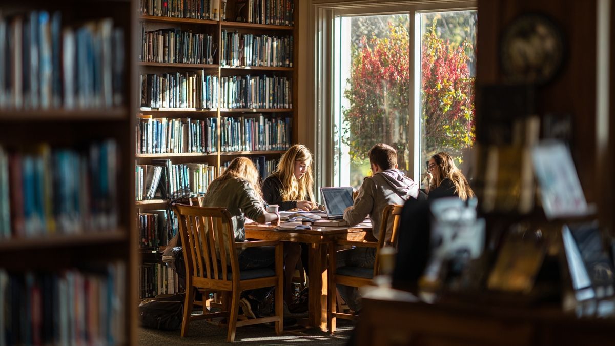 L’éducation au cœur de Vannes : un environnement favorable pour progresser