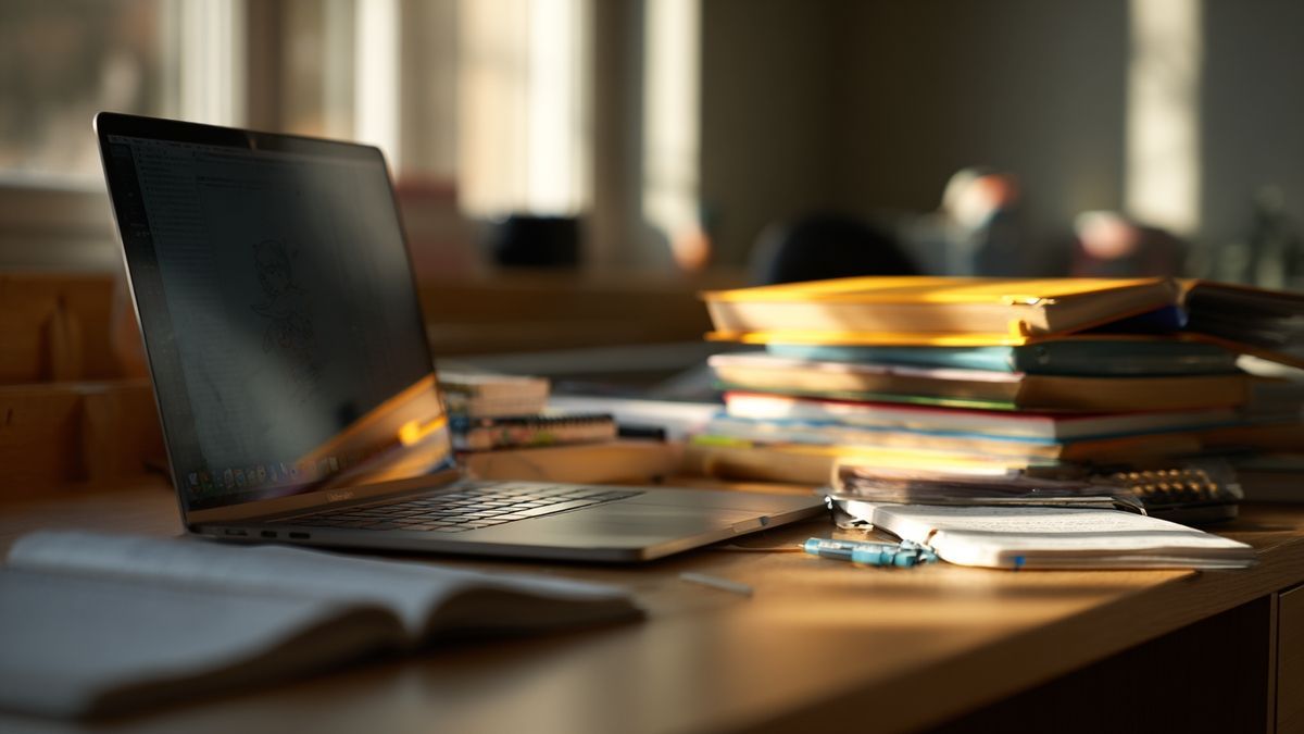 Pour qui sont faits nos cours particuliers à Bourgoin-Jallieu ?