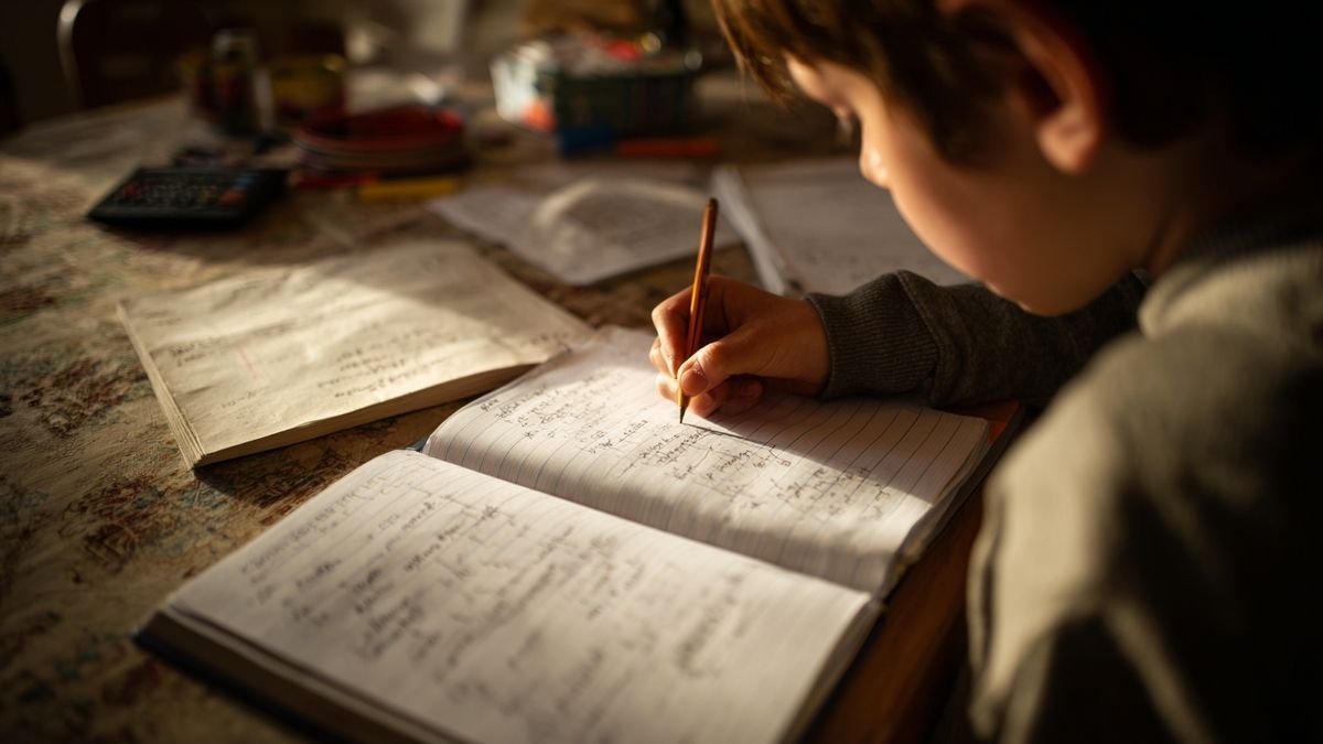 Pour qui sont faits nos cours particuliers à Les Andelys ?